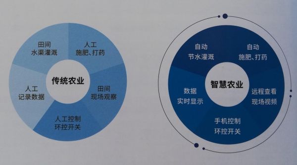 互联网农业创业模式有哪些_智慧农业如何落地