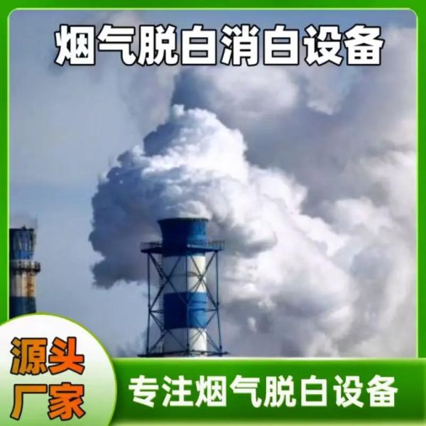 脱白技术原理_环保有限公司脱白设备怎么选