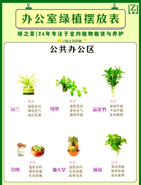 绿植市场前景怎么样_新手如何入局