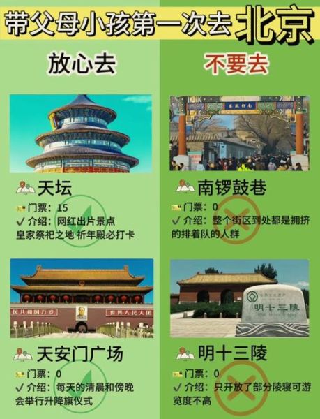 2024年旅游市场前景如何_自由行还是跟团游更划算