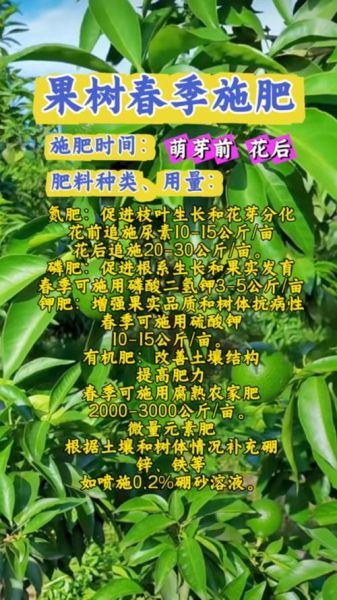 什么肥料适合果树_果树施肥最佳时间