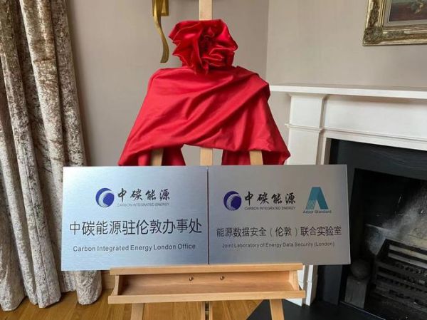 中碳能投科技有限公司怎么样_中碳能投科技做什么业务