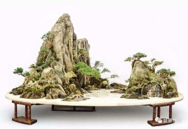 山水盆景前景怎么样_如何入门山水盆景