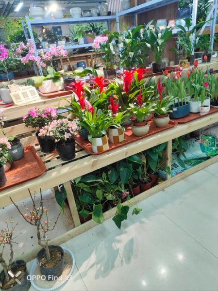 假花市场前景怎么样_2024假花行业赚钱吗