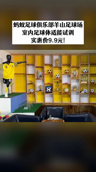 室内足球前景怎么样_室内足球赚钱吗