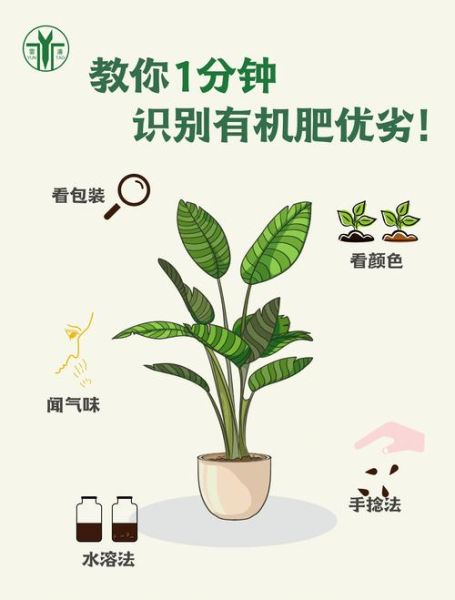 有机肥和化肥哪个好_如何科学搭配使用