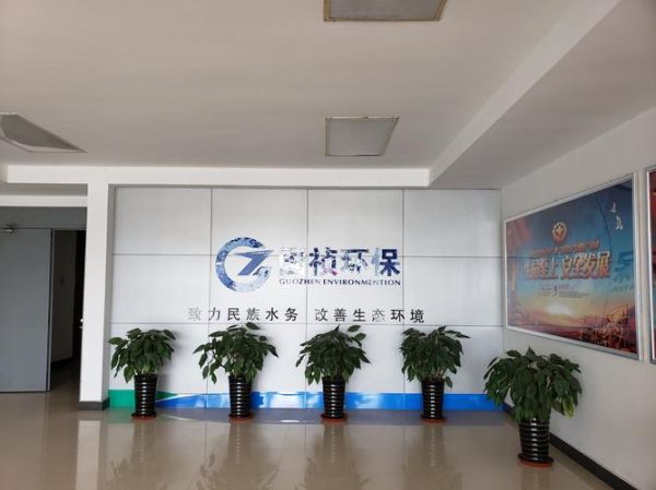 合肥国祯环保有限公司怎么样_国祯环保有哪些业务