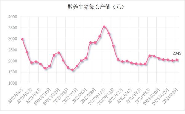 母猪前景怎么样_2024年还能赚钱吗