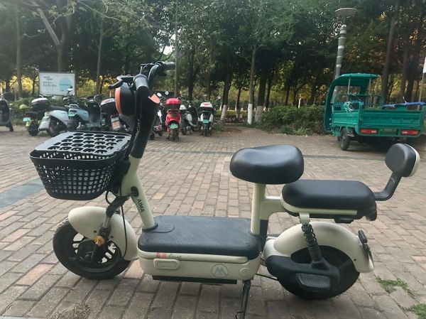 电动自行车哪个牌子好_电动自行车续航多久