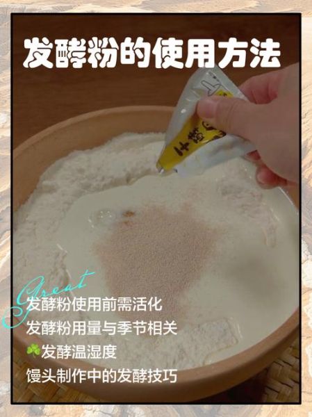 酵母粉怎么用_酵母粉过期还能用吗