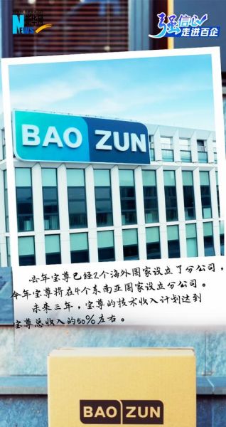 宝尊前景怎么样_宝尊电商未来发展方向