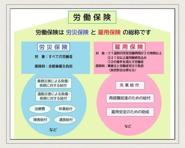 互联网保险日本怎么买_日本互联网保险靠谱吗