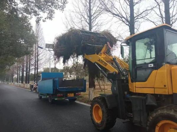 农林废弃物处置有限公司_农林废弃物怎么处理