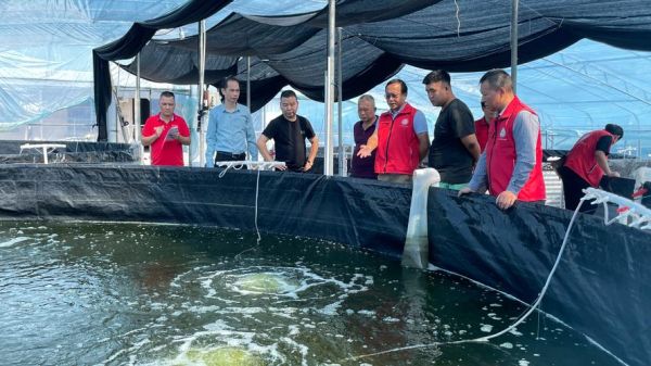 水产业前景怎么样_2024年水产养殖还能赚钱吗