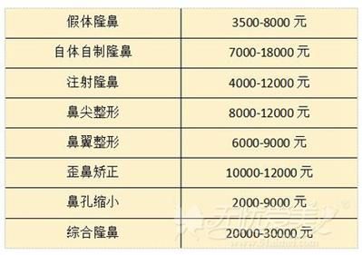 整形医院哪家好_隆鼻手术价格贵不贵
