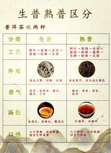 普洱茶怎么储存_普洱茶生茶和熟茶的区别