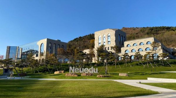 东软集团互联网运营做什么_东软集团互联网运营前景怎么样