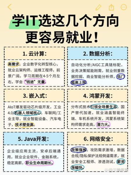 中国IT行业未来五年发展前景_程序员如何转型