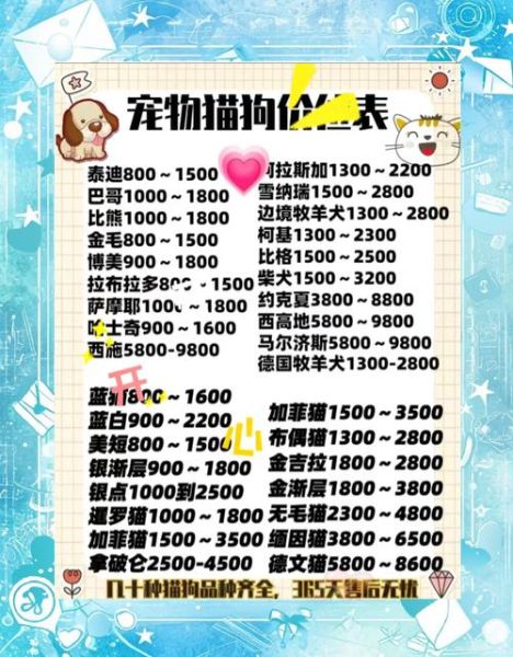 宠物电商怎么选_宠物用品哪个品牌好