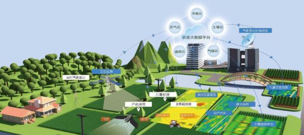 互联网农业市场未来五年趋势_如何抓住新风口