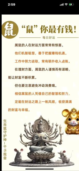 84年属鼠适合做什么生意_84年属鼠创业方向