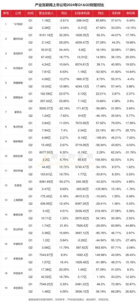 互联网企业市场份额分布_2024最新排名