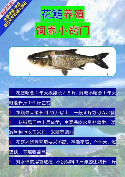 2017水产养殖前景如何_水产行业赚钱吗