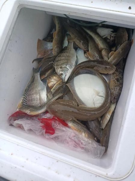 钓鱼业前景怎么样_2024钓鱼行业赚钱吗