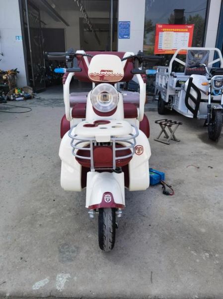 电动三轮车哪个牌子好_电动三轮车价格一般多少钱