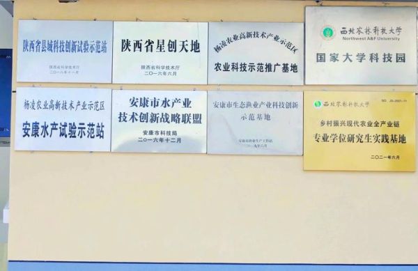 安康发展前景怎么样_安康未来五年哪些行业最赚钱