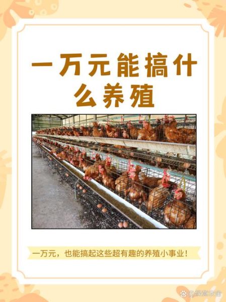 2014养殖业前景怎么样_2014养殖业什么最赚钱