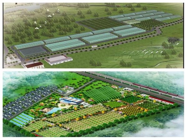 休闲农业前景怎么样_如何抓住乡村休闲红利