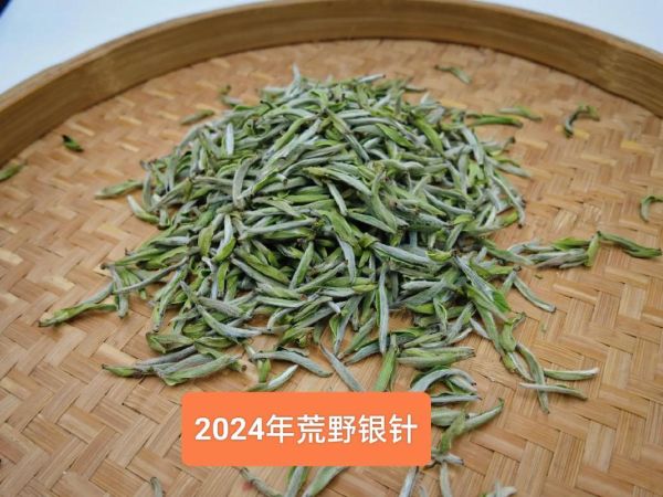 白茶市场前景怎么样_白茶值得投资吗