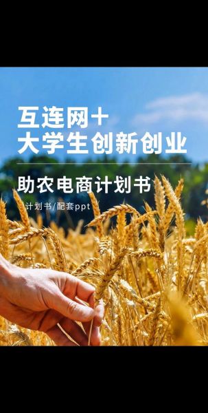 互联网农业创业机会_农业电商平台怎么做