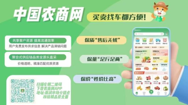 互联网农业创业机会_农业电商平台怎么做