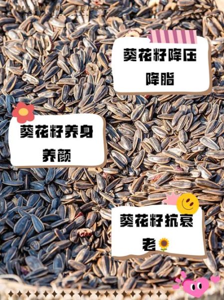 葵花籽前景怎么样_葵花籽种植赚钱吗