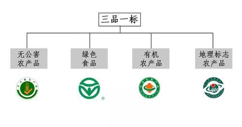 绿色食品认证流程_绿色食品品牌如何打造