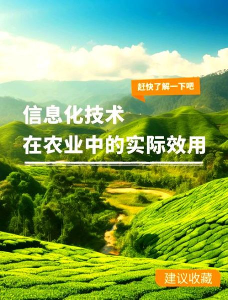 互联网农业未来展望_智慧农业如何改变传统种植