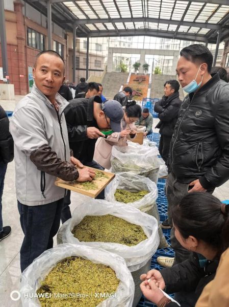 茶叶市场前景怎么样_茶叶生意还能做吗