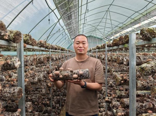 食用菌发展前景怎么样_食用菌种植赚钱吗