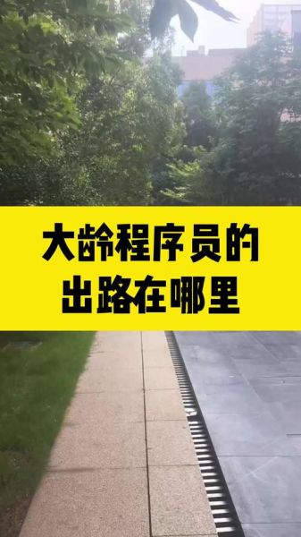 武汉互联网出路在哪_武汉程序员转行做什么