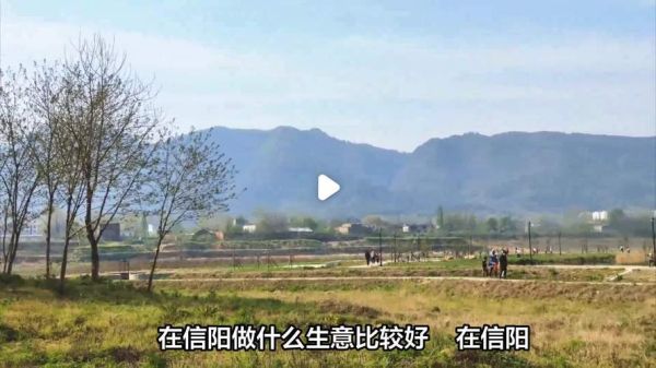 信阳适合做什么生意_信阳未来五年哪些行业最赚钱