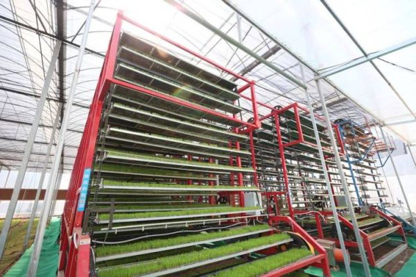 卫士通工业互联网龙头_为什么它能持续领跑