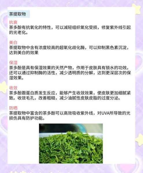 植物提取物有哪些功效_植物提取物出口前景怎么样