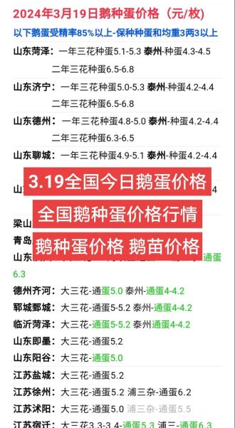 鹅苗价格多少钱一只_养鹅利润怎么样