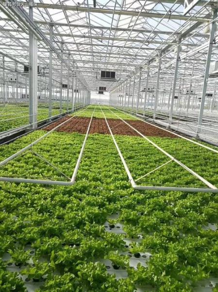 设施农业发展前景_设施农业值得投资吗