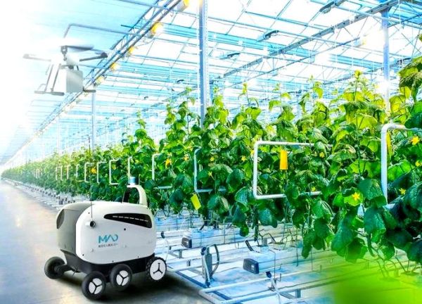 设施农业发展前景_设施农业值得投资吗