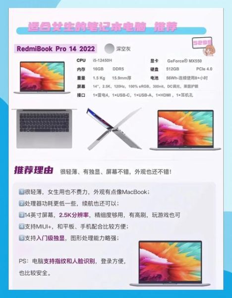 2024年哪款笔记本性价比高_轻薄本和全能本怎么选