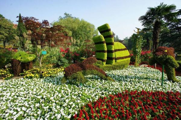 园艺前景怎么样_园艺创业赚钱吗