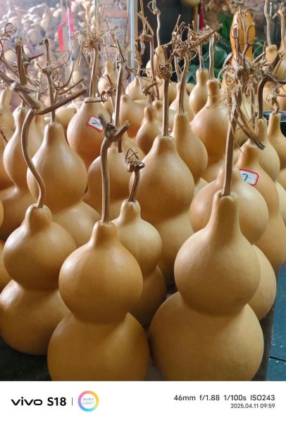 葫芦市场未来五年赚钱吗_葫芦工艺品如何选品